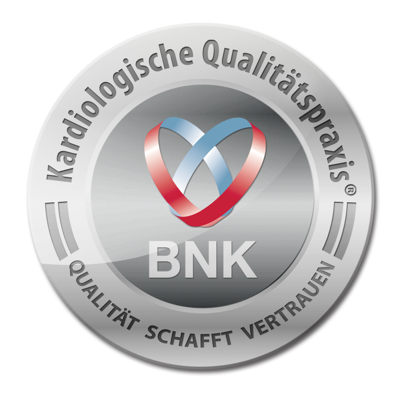 BNK Logo